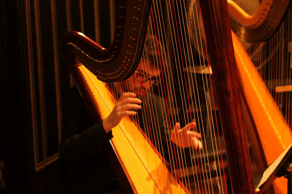 Thomas Zimmer, harpe